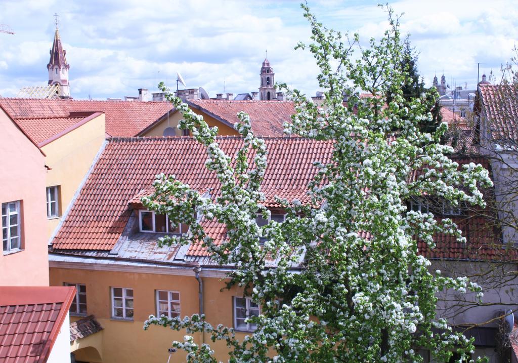 Old Town Apartment Antokolskio Βίλνιους Εξωτερικό φωτογραφία