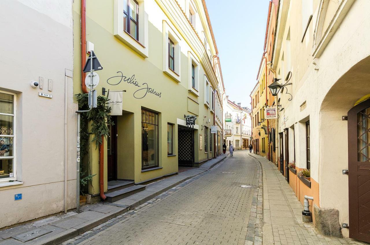Old Town Apartment Antokolskio Βίλνιους Εξωτερικό φωτογραφία
